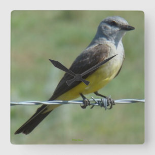 Western Kingbird B44 Fyrkantig Klocka