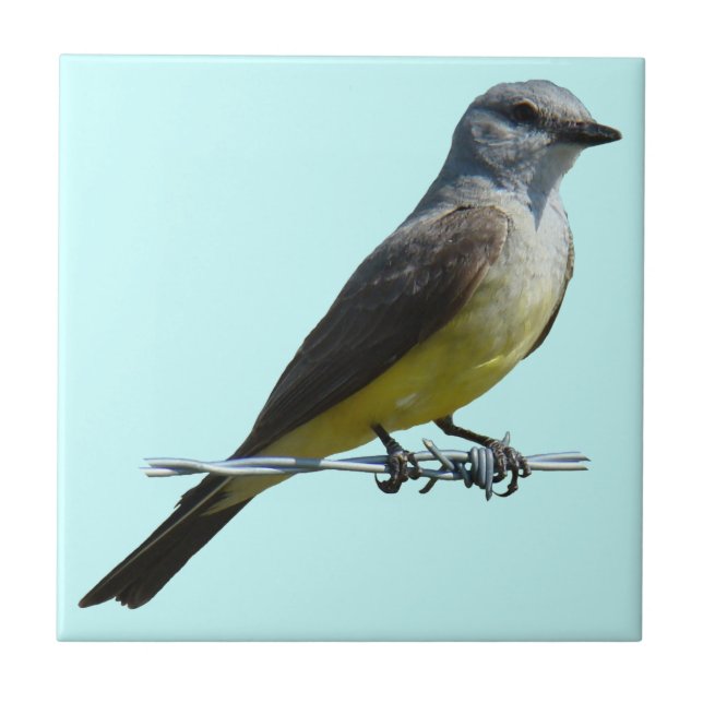 Western Kingbird B45 Kakelplatta (Framsidan)