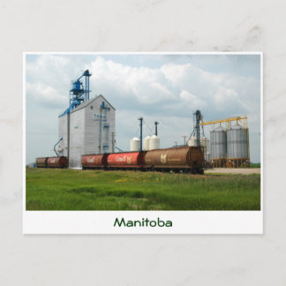 Western kornhiss vykort