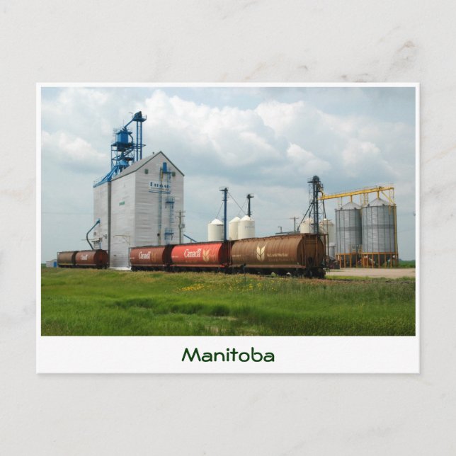 Western kornhiss vykort (Framsida)