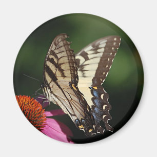 Western magnet för tigerSwallowtail runda
