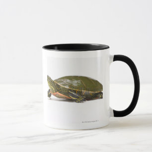 Western målad sköldpadda (Chrysemyspictabelliien Mugg