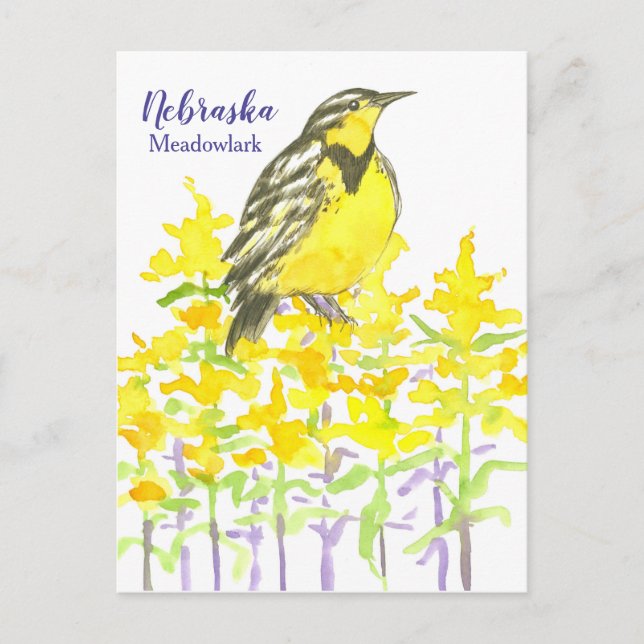 Western Meadowlark Bird Goldenrod Nebraska Vykort (Framsida)
