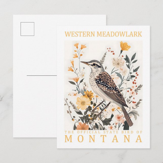 Western Meadowlark Bird of Montana USA Travel Vykort (Fram/baksida)