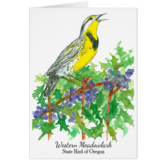 Western Meadowlark Bird Oregon Grape Hälsningskort (Framsidan)