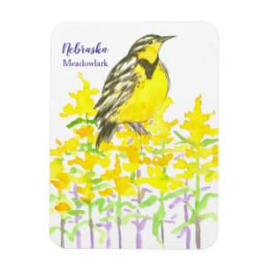 Western Meadowlark Goldenrod Gult Wildblomma Magnet