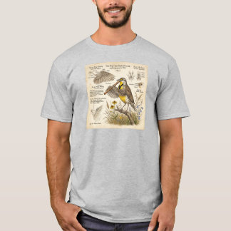 Western Meadowlark Playing Flute – Funny Bird  T Shirt