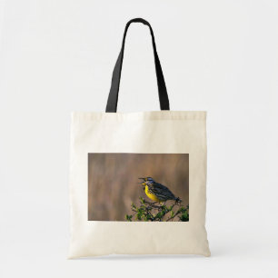 Western meadowlark tygkasse