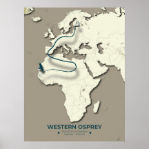 Western Osprey Migration Karta - Minimalistisk Vin