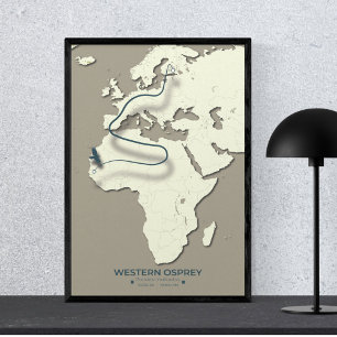 Western Osprey Migration Karta - Minimalistisk Vin Poster