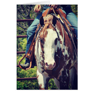 Western Paint Horse Hälsningskort