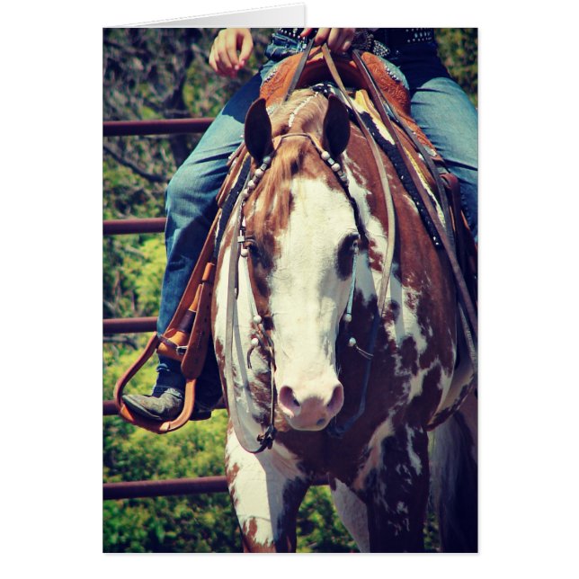 Western Paint Horse Hälsningskort (Framsidan)