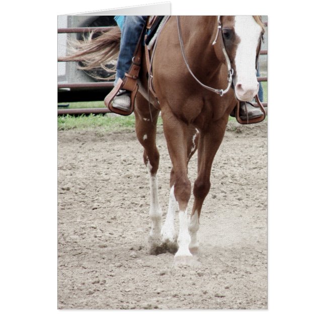 Western Paint Horse Hälsningskort (Framsidan)