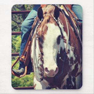 Western Paint Horse Musmatta