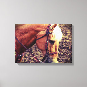 Western Palomino Canvastryck