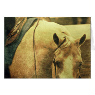Western Palomino Hälsningskort