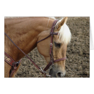 Western Palomino Hälsningskort