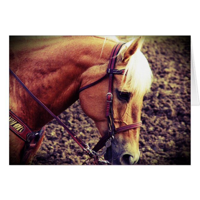 Western Palomino Hälsningskort (Framsidan Horizontal)