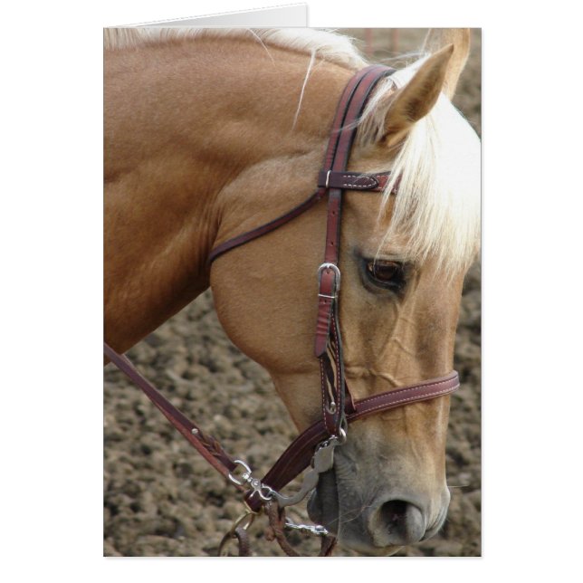 Western Palomino Hälsningskort (Framsidan)