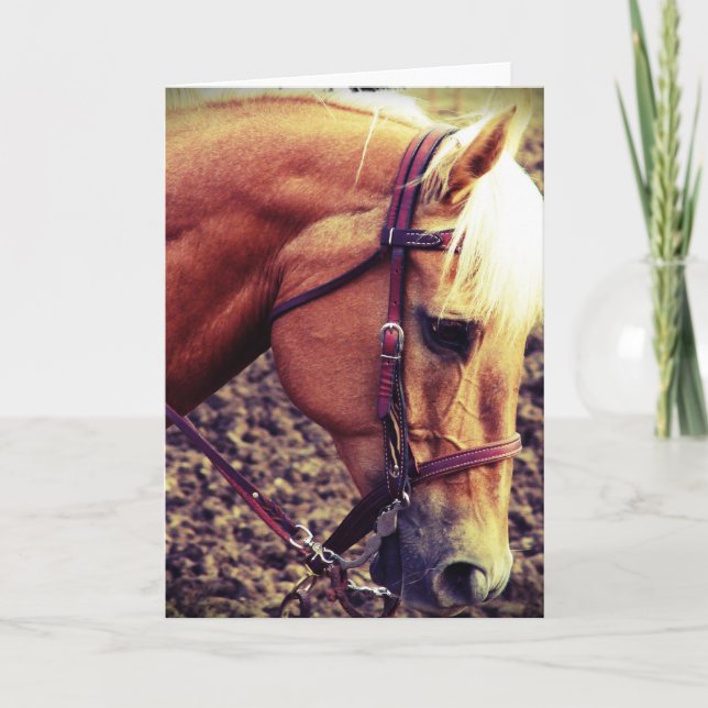 Western Palomino Kort (Framsida)