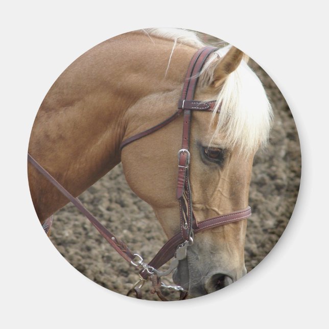Western Palomino Magnet (Framsidan)