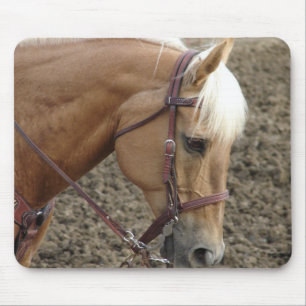Western Palomino Musmatta
