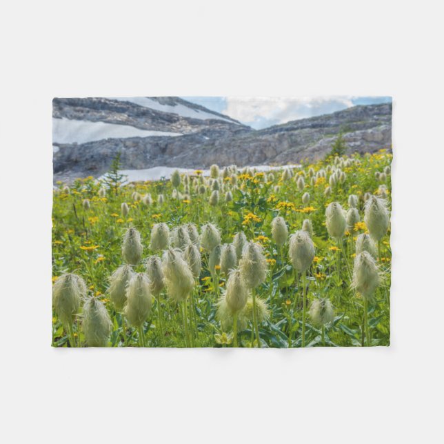 Western Pasqueflower | Öster Kootenay-bergen Fleecefilt (Framsidan (Horisontell))