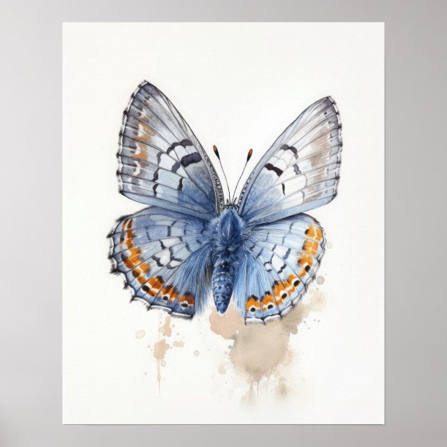 Western Pygmy Butterfly Art-utskrift Poster (Framsidan)