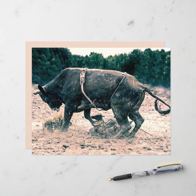 Western Rodeo Black Bull Land Cowboyr Rustic (Fram/Back In Situ)