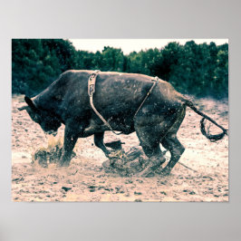 Western Rodeo Black Bull Land Cowboyr Rustic Poster