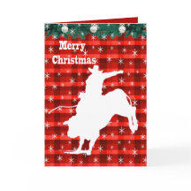 Western Rodeo Cowboy Bull Riding Play