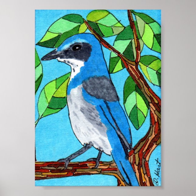 Western SCrub Jay Mini Folk Art Poster (Framsidan)
