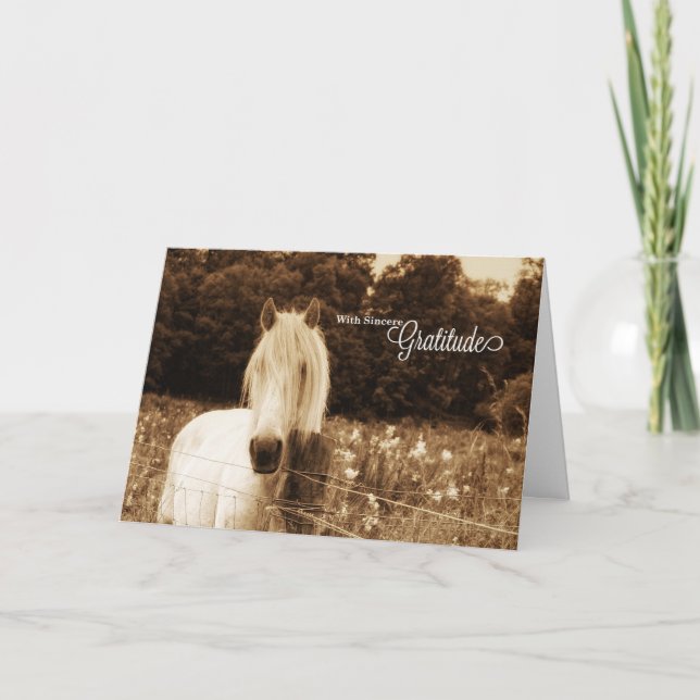 Western Sepia White Horse Blank Tack Kort (Framsida)