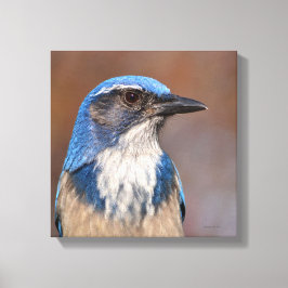 Western Skryssb Jay Canvastryck
