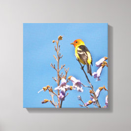 Western Tanager Canvastryck