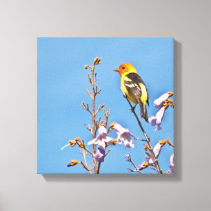 Western Tanager Canvastryck