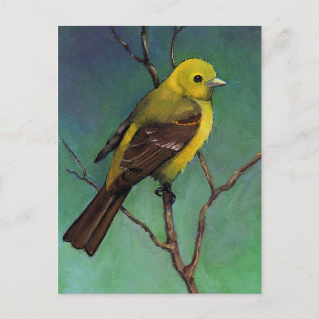 Western Tanager: Fågel i Oil Pastel Vykort (Framsida)