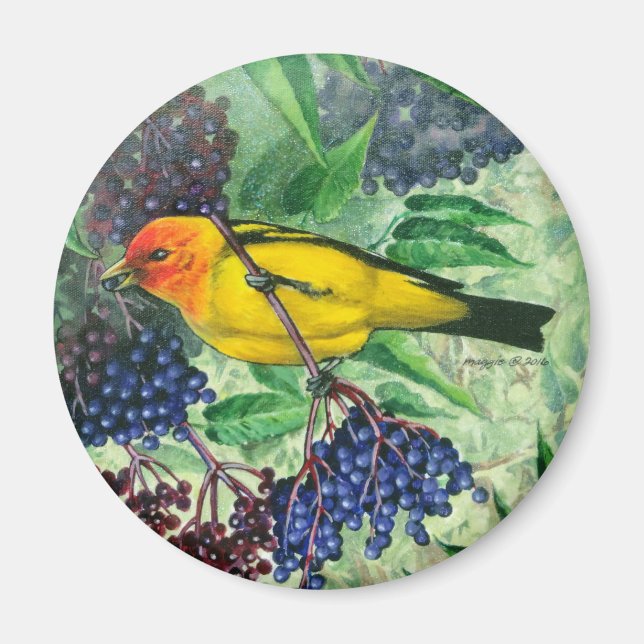 Western Tanager Magnet (Framsidan)