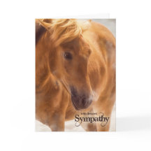 Western Thése Horse Pet Sympathy