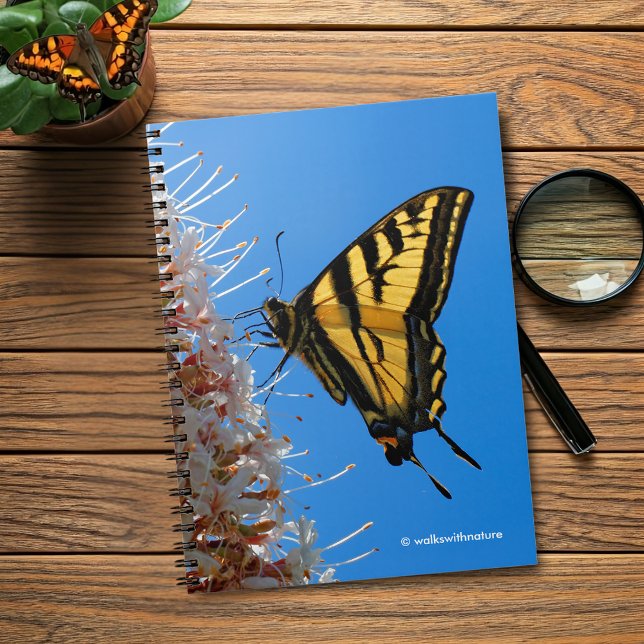 Western Tiger Swallowtail Butterfly på Buckeye Anteckningsbok Med Spiral (Western Tiger Swallowtail Butterfly on the Buckeye Journal Cover Photo)