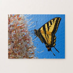 Western Tiger Swallowtail Butterfly på Buckeye Pussel