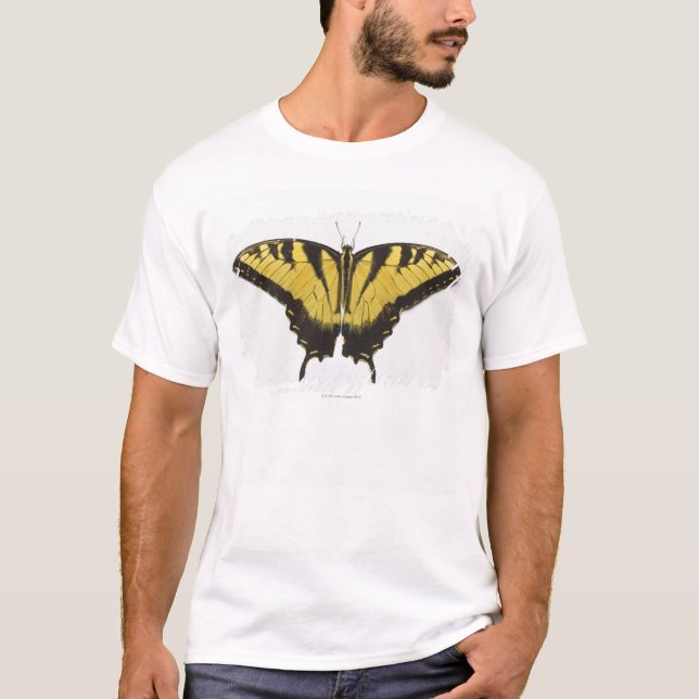 Western tigerSwallowtail fjäril Tee Shirt (Framsida)
