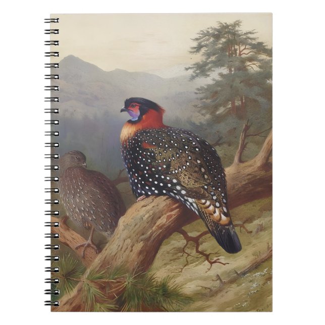 Western tragopan, fågelillustrationer anteckningsbok (Framsidan)