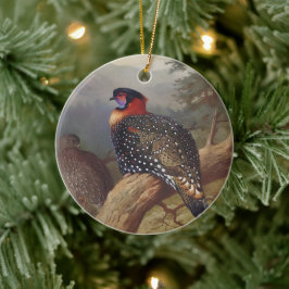 Western tragopan, fågelillustrationer julgransprydnad keramik