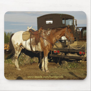 Western utformning av Appaloosa Horse Equine Musmatta