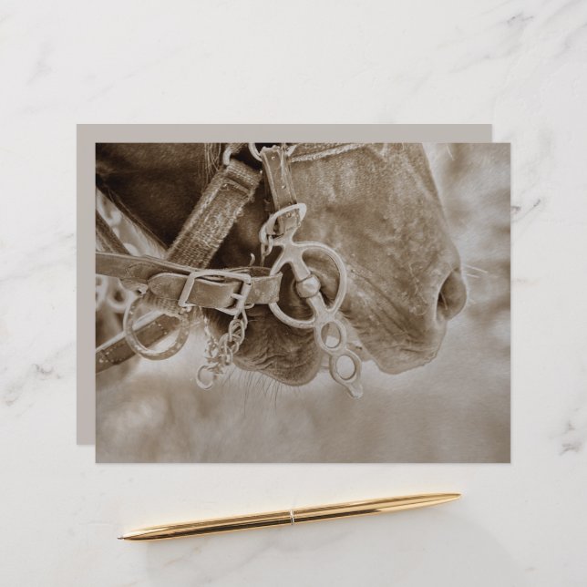 Western Vintage Sepia Rustic Decoupage (Fram/Back In Situ)