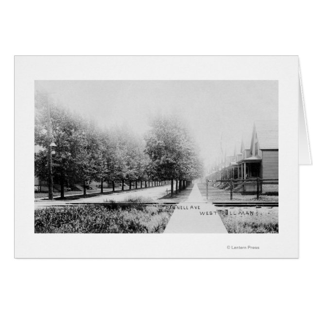 Western vy över Parnell Avenue Hälsningskort (Framsidan Horizontal)