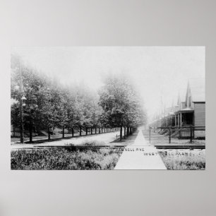 Western vy över Parnell Avenue Poster