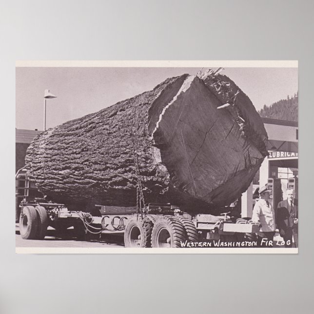 Western Washington Fir Log Circa 1940 Poster (Framsidan)