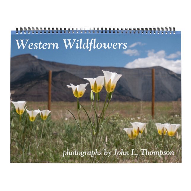 Western Wildblomskalender Kalender (Omslag)